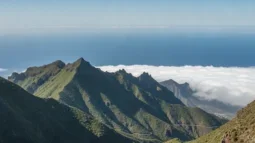 Parque Rural de Anaga, Tenerife: Bosques de Laurisilva, Miradores y la Mejor Ruta en Coche (2026)