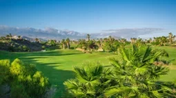Paraíso del golf: La felicidad de jugar al golf en los mejores clubes de golf de Tenerife