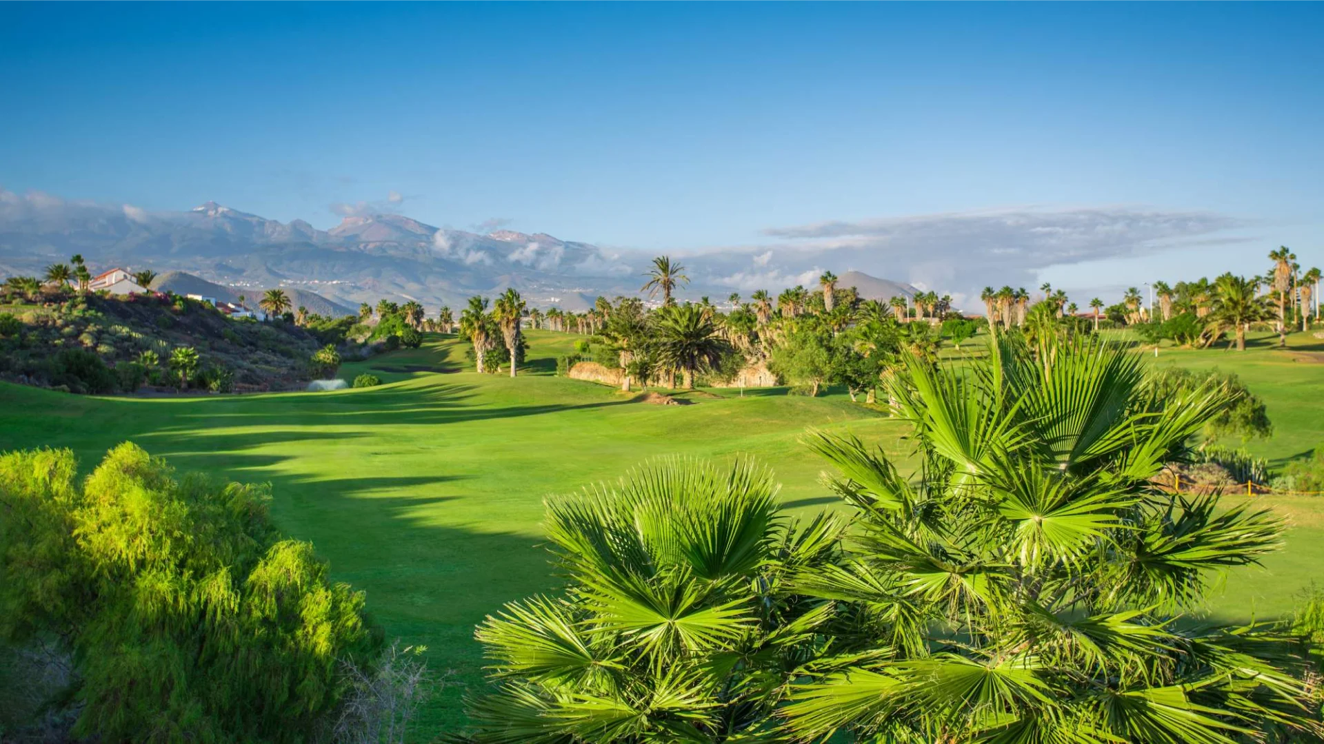 Paraíso del golf: La felicidad de jugar al golf en los mejores clubes de golf de Tenerife