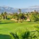 Paraíso del golf: La felicidad de jugar al golf en los mejores clubes de golf de Tenerife