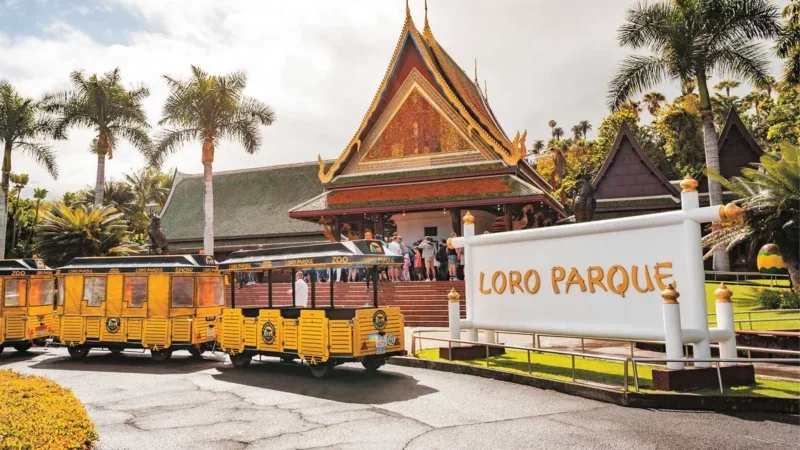 Loro Parque Tenerife – Descubre el corazón de la maravilla natural de la isla