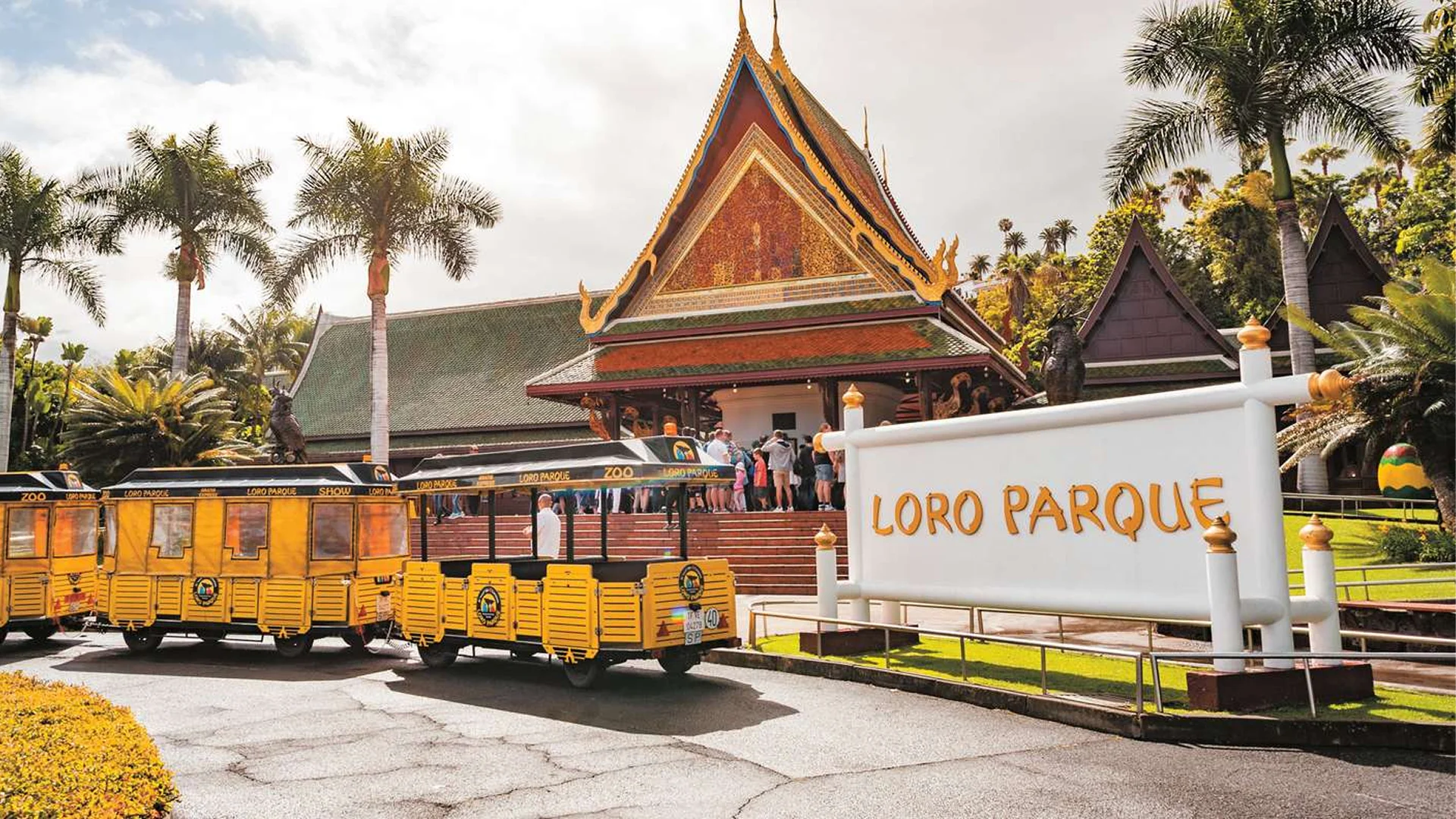 Loro Parque Tenerife – Descubre el corazón de la maravilla natural de la isla