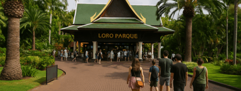 Loro Parque Tenerife – Descubre el corazón de la maravilla natural de la isla