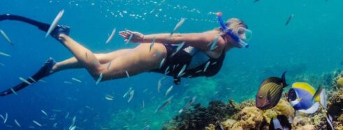 Nadando con la corriente: Una inmersión profunda en los lugares de buceo de Tenerife