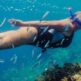 Nadando con la corriente: Una inmersión profunda en los lugares de buceo de Tenerife