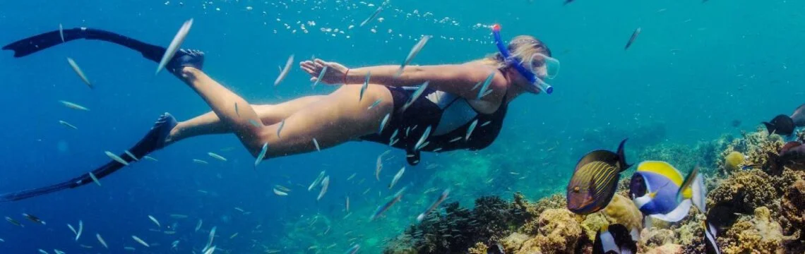 Nadando con la corriente: Una inmersión profunda en los lugares de buceo de Tenerife