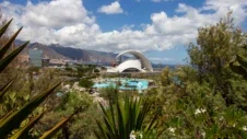 Jardín Botánico de Tenerife: Donde la belleza tropical florece en abundancia