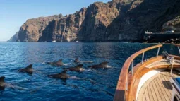 Avistamiento de Ballenas y Delfines en Tenerife: Mejores Excursiones en Barco y Cómo Llegar en Coche (2026)
